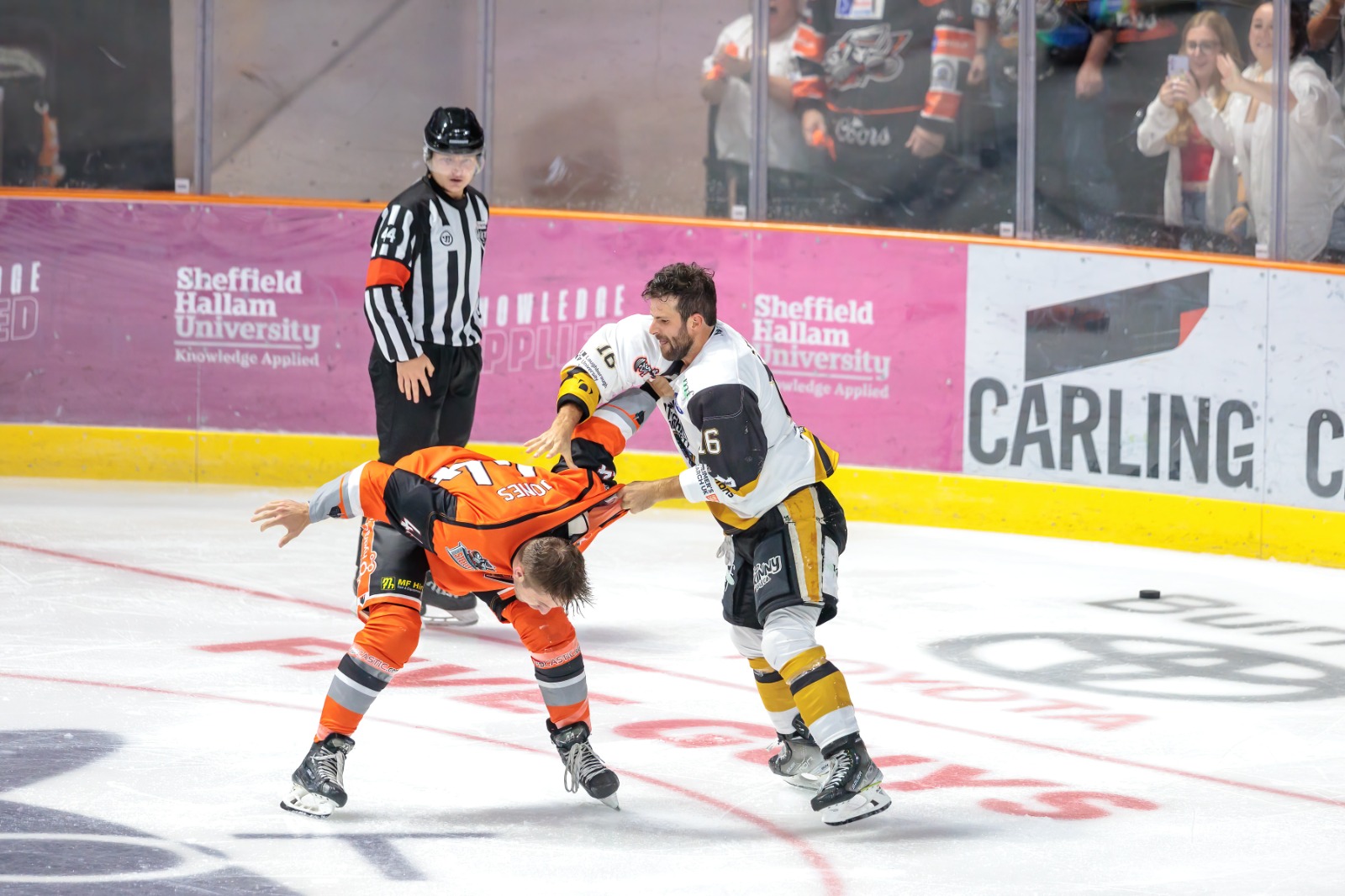 GAMEDAY PREVIEW: PANTHERS HOST STEELERS Top Image