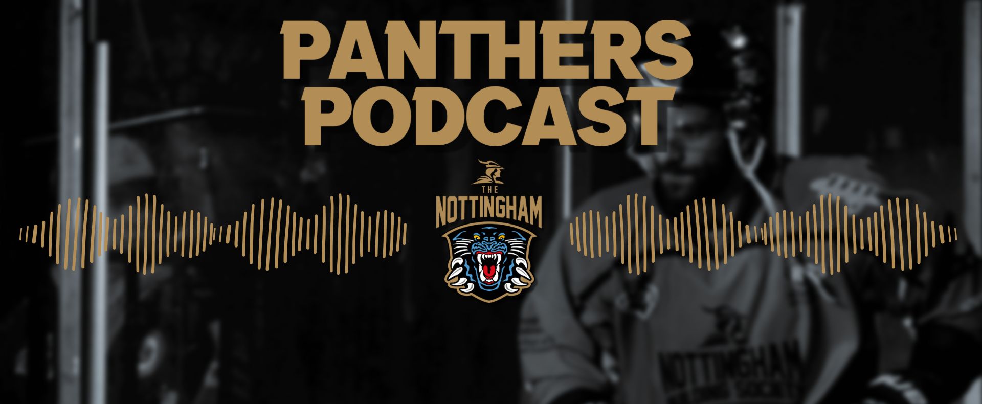 FOUR LATEST SIGNINGS DISCUSSED ON PODCAST Top Image