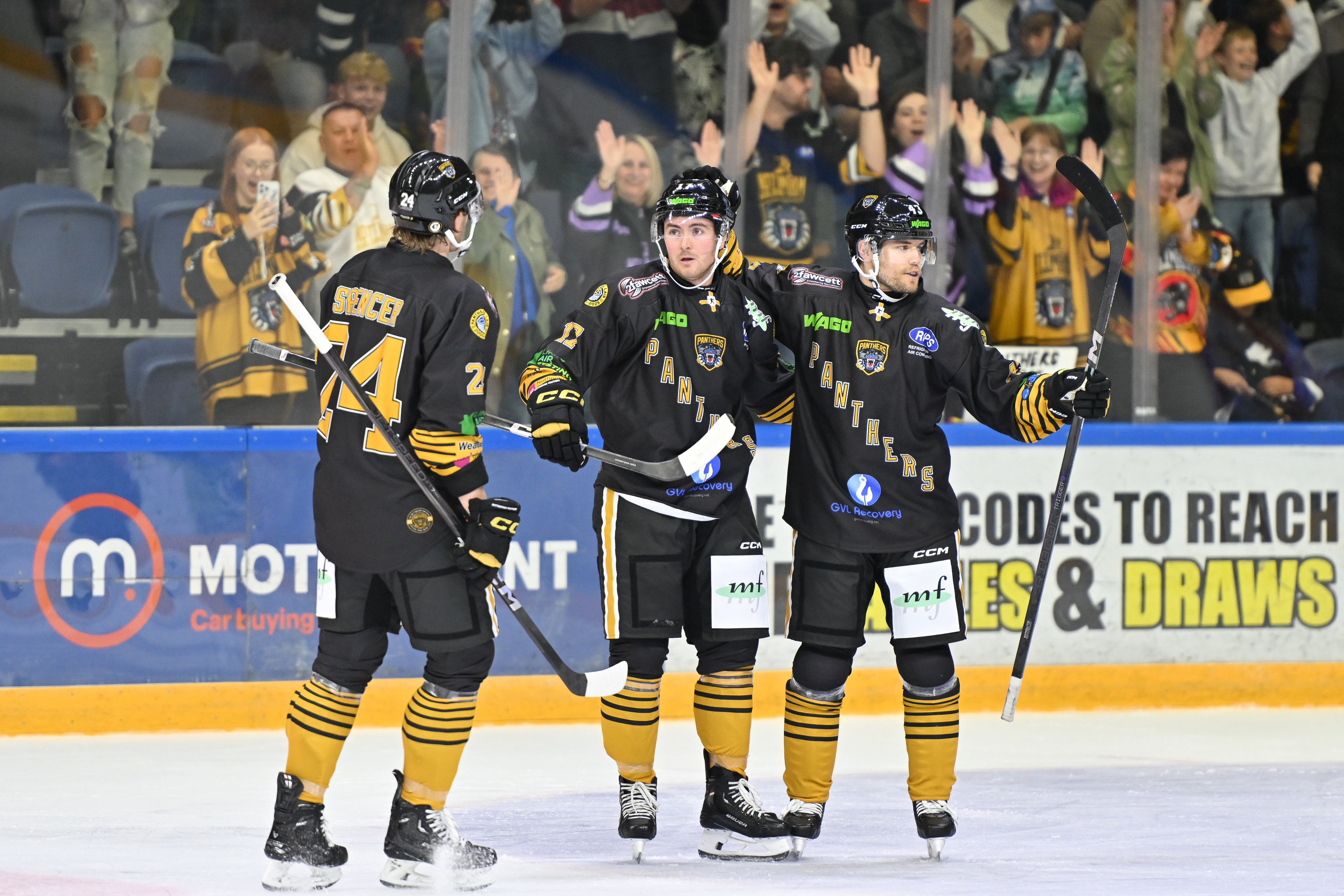 LAUSITZER FÜCHSE NEXT AT HOME FOR PANTHERS Top Image