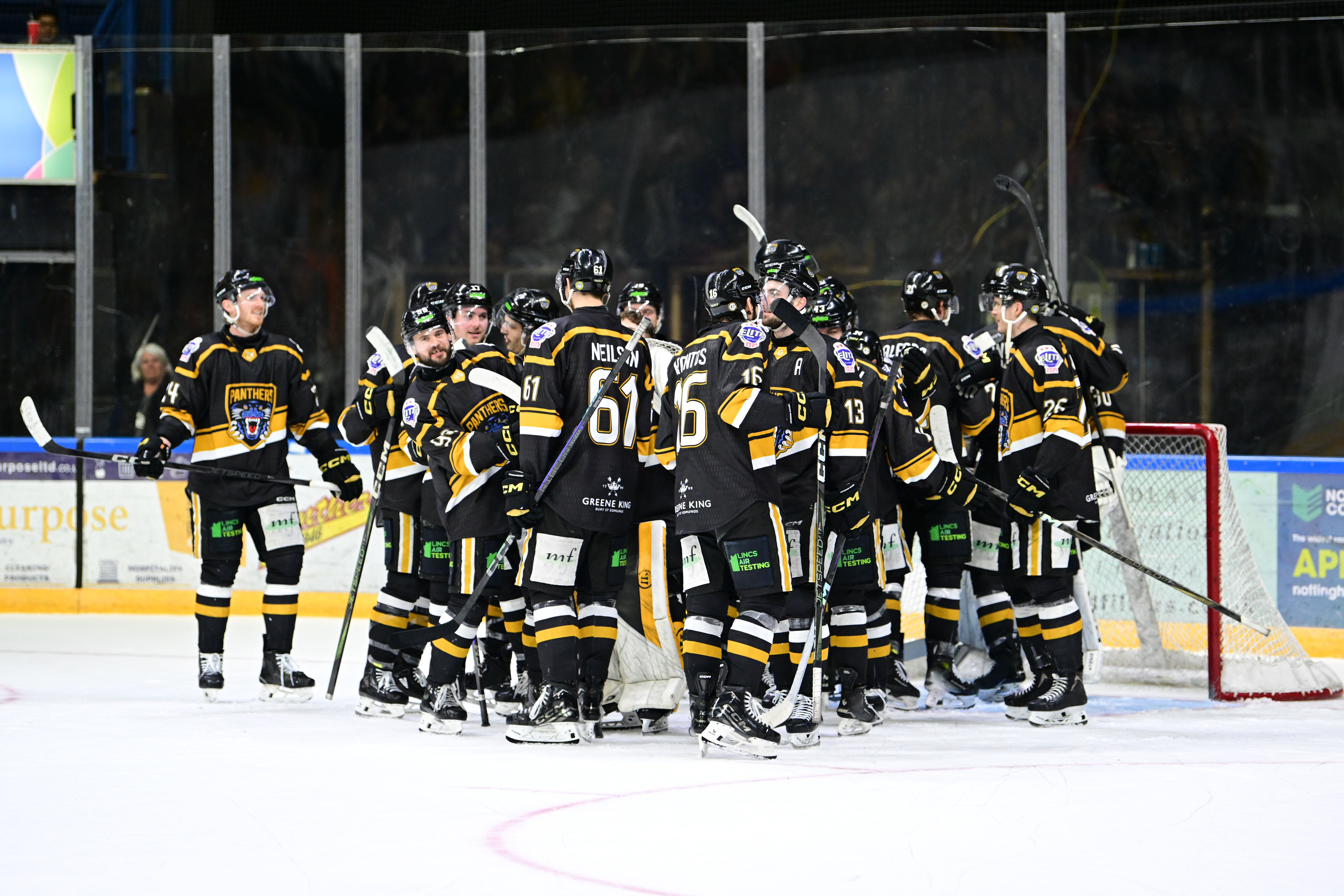 PANTHERS FACE STEELERS IN PLAYOFF SEMI-FINALS Top Image