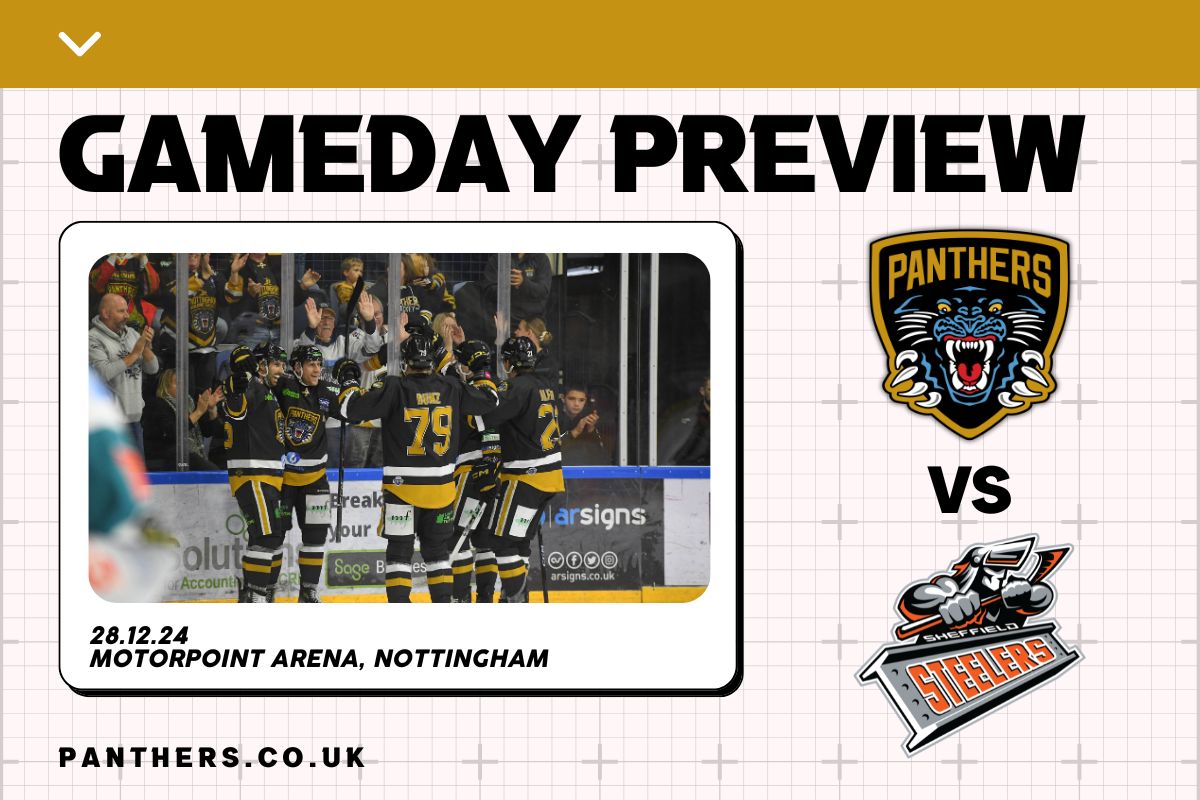 SATURDAY NIGHT PREVIEW: PANTHERS HOST STEELERS Top Image