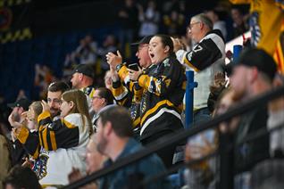 TICKET UPDATE: BUSY CHRISTMAS PERIOD FOR THE PANTHERS