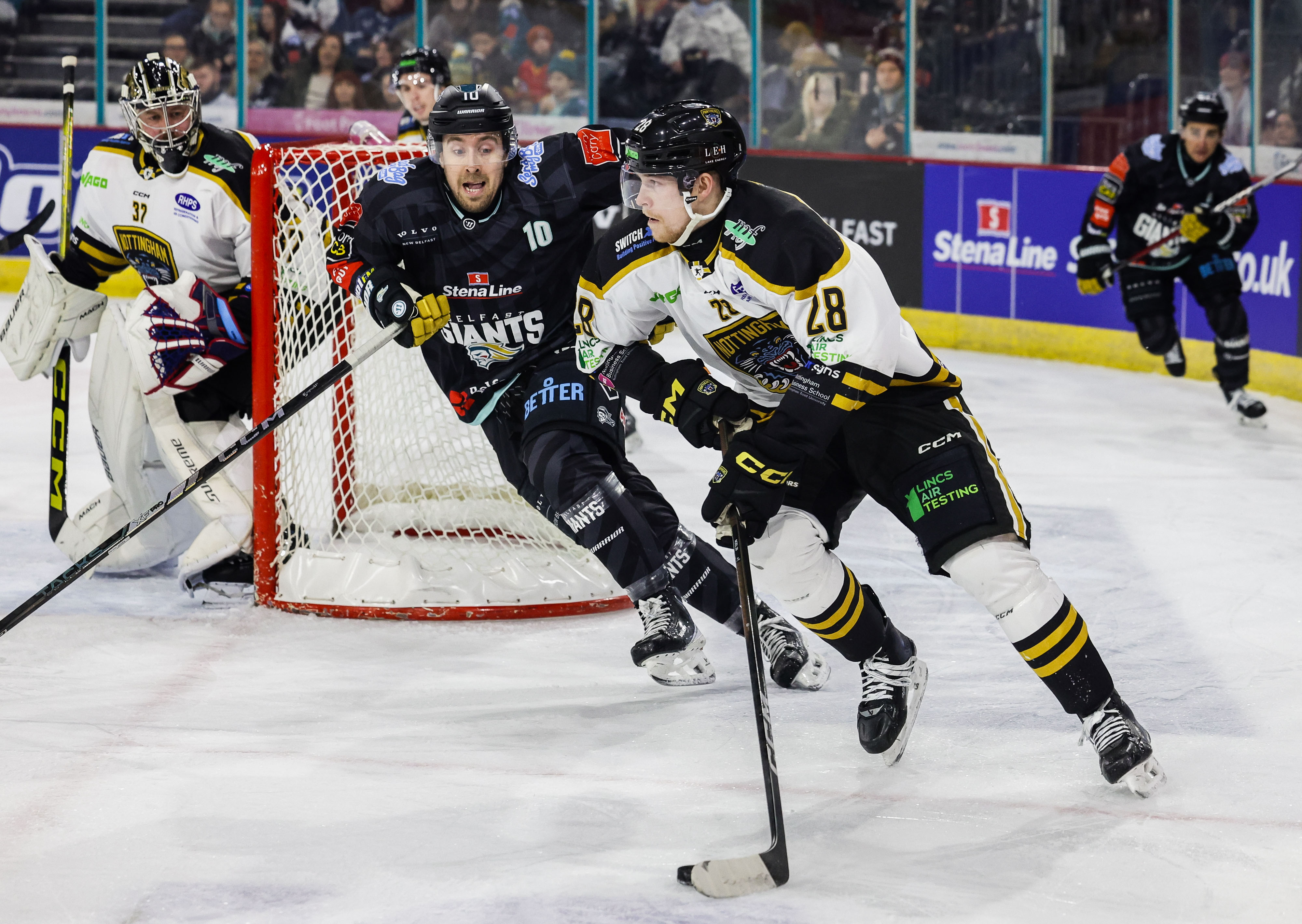 WEEKEND LOWDOWN: TWO GAMES IN BELFAST Top Image