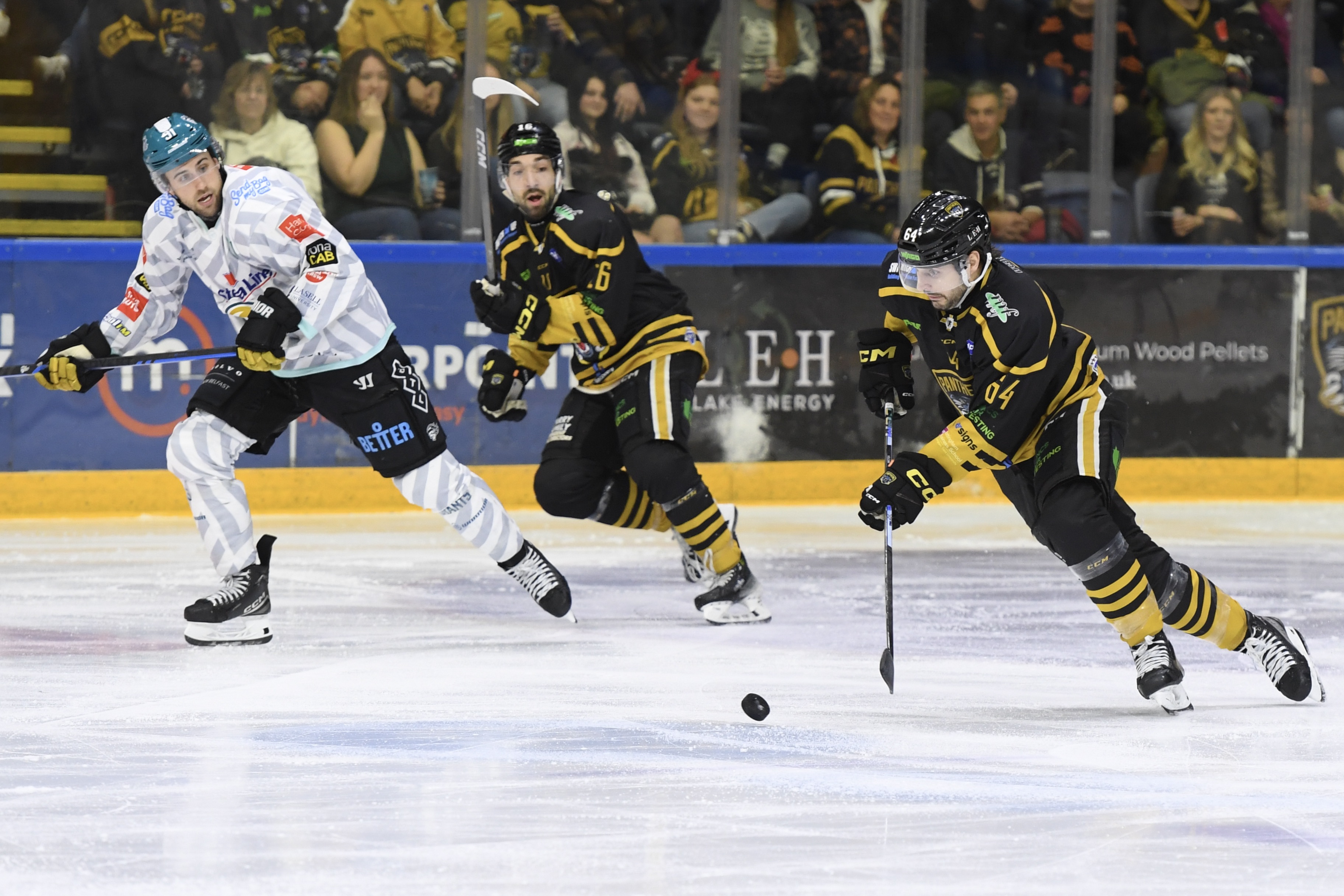 WEEKEND LOWDOWN: BELFAST AT HOME TWICE Top Image