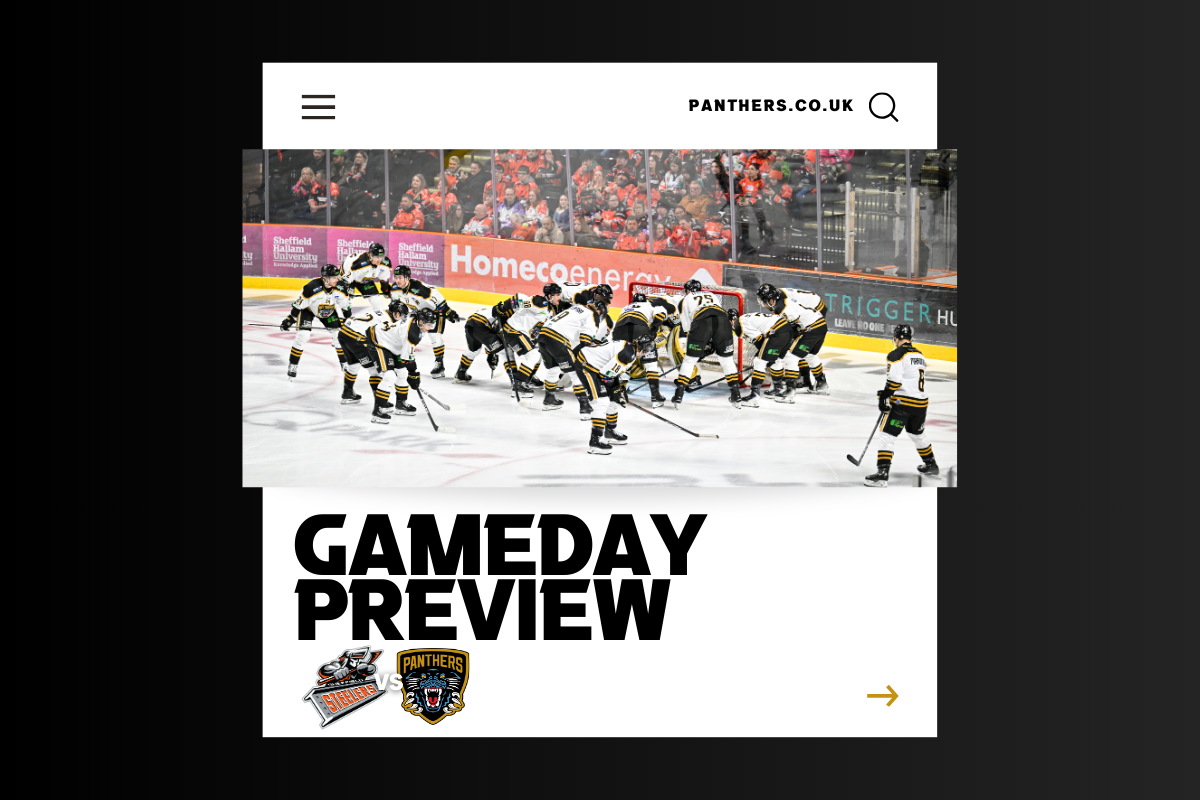 BOXING DAY PREVIEW: STEELERS V PANTHERS Top Image