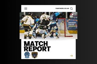 NEW YEAR'S DAY PREVIEW: BLAZE V PANTHERS