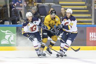 GAMEDAY PREVIEW AS FLAMES VISIT NOTTINGHAM