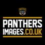 Panthers Images